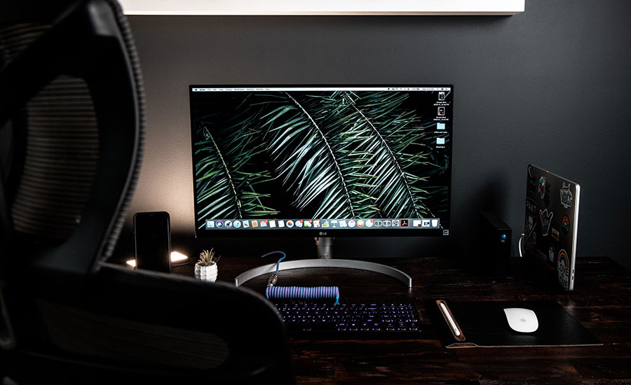 Portfolio Image