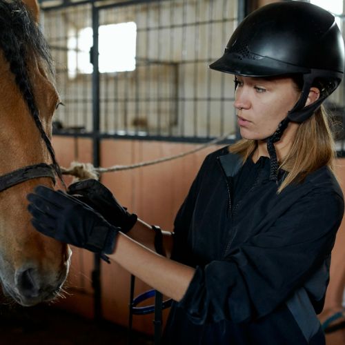 Riding helmet