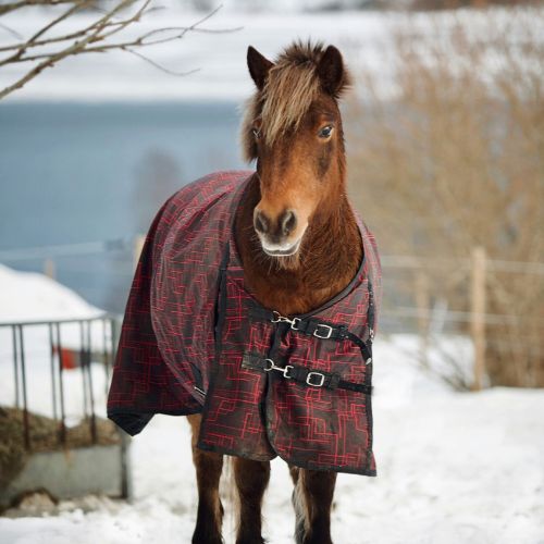 Horse blanket