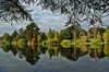 Trees by the lake