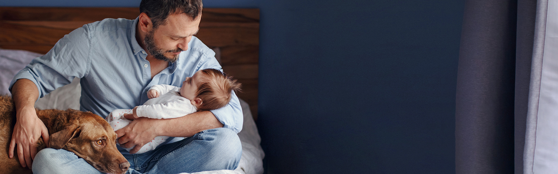 slider-mainbg-002.jpg slider-mainbg-002