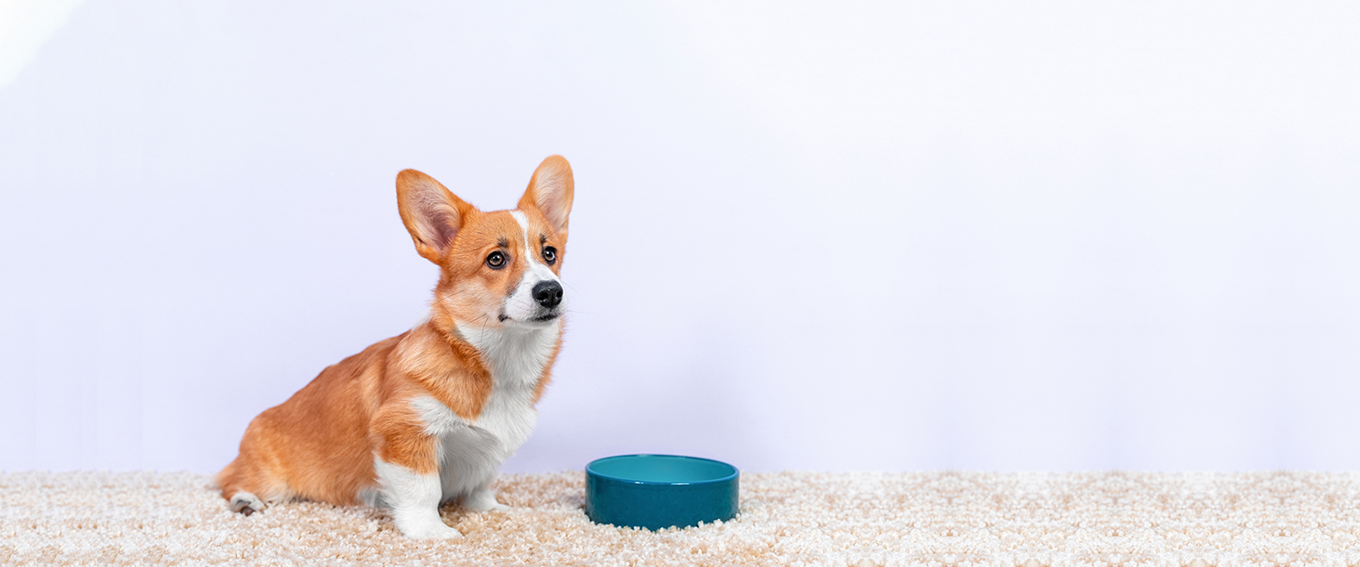 slider-mainbg-006.jpg slider-mainbg-006